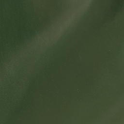Satellite imagery of Green Point, US