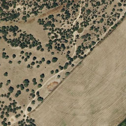 Satellite imagery of survey_point, PT