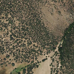 Satellite imagery of survey_point, PT
