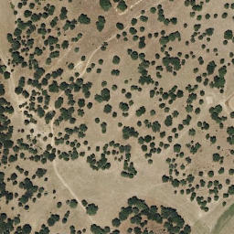 Satellite imagery of survey_point, PT