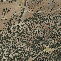 Satellite imagery of survey_point, PT