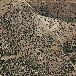 Satellite imagery of survey_point, PT