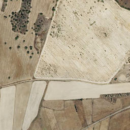 Satellite imagery of survey_point, PT