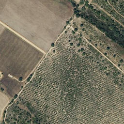Satellite imagery of survey_point, PT