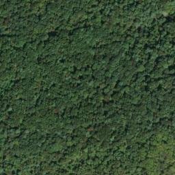 Satellite imagery of Turkey Ridge, US