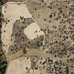 Satellite imagery of survey_point, PT