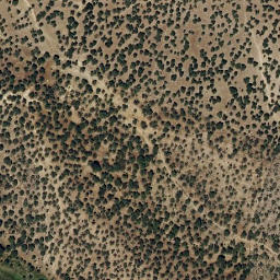 Satellite imagery of survey_point, PT