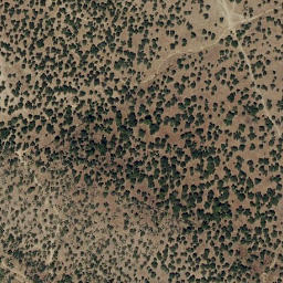 Satellite imagery of survey_point, PT