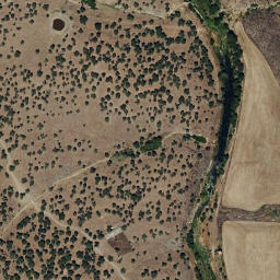 Satellite imagery of survey_point, PT