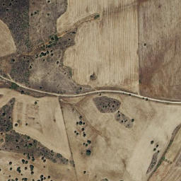Satellite imagery of survey_point, PT