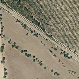 Satellite imagery of survey_point, PT
