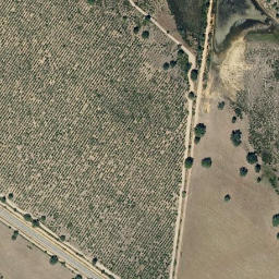 Satellite imagery of survey_point, PT