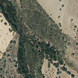 Satellite imagery of survey_point, PT