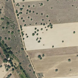 Satellite imagery of survey_point, PT