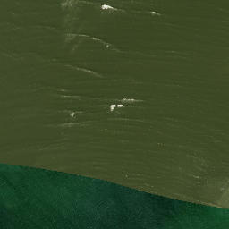 Satellite imagery of Silver Point, US