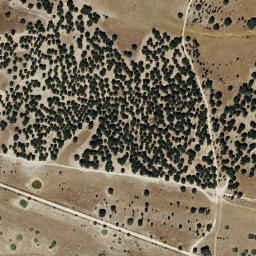 Satellite imagery of survey_point, PT