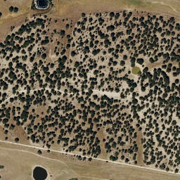 Satellite imagery of survey_point, PT