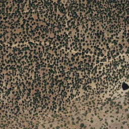 Satellite imagery of survey_point, PT