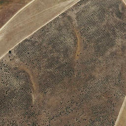 Satellite imagery of survey_point, PT