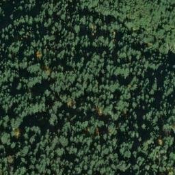 Satellite imagery of Fern Ridge, US