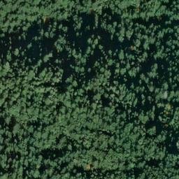 Satellite imagery of Fern Ridge, US