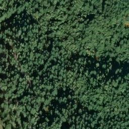 Satellite imagery of Fern Ridge, US