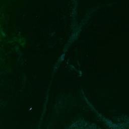 Satellite imagery of Wildcat Point, US