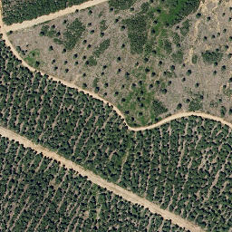 Satellite imagery of survey_point, PT
