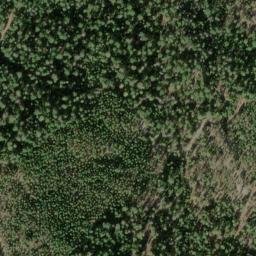 Satellite imagery of Oak Ridge, US