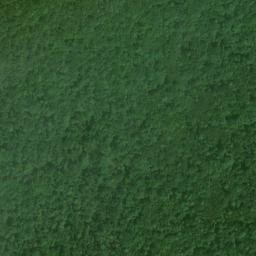 Satellite imagery of Chinese Wall, US