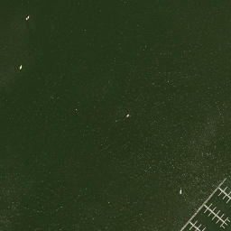 Satellite imagery of Crookes Point, US