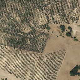 Satellite imagery of survey_point, PT