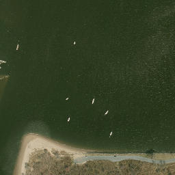 Satellite imagery of Crookes Point, US
