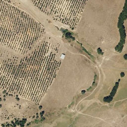 Satellite imagery of survey_point, PT