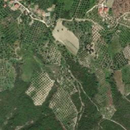 Satellite imagery of Gradisht, AL