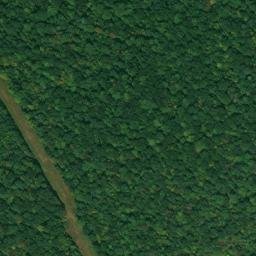 Satellite imagery of Chestnut Ridge, US