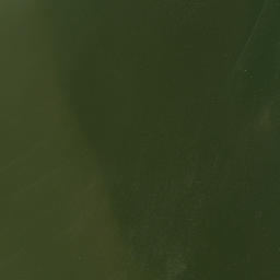Satellite imagery of Crookes Point, US