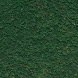 Satellite imagery of Chestnut Ridge, US