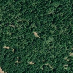 Satellite imagery of Donkey Point, US