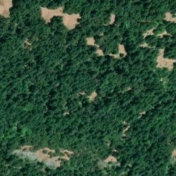 Satellite imagery of Donkey Point, US