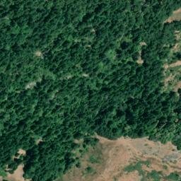 Satellite imagery of Donkey Point, US