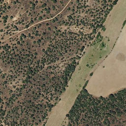 Satellite imagery of survey_point, PT
