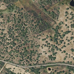 Satellite imagery of survey_point, PT