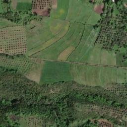 Satellite imagery of Gran, AL