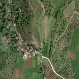 Satellite imagery of Gran, AL