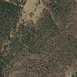 Satellite imagery of survey_point, PT