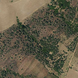 Satellite imagery of survey_point, PT