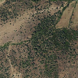 Satellite imagery of survey_point, PT