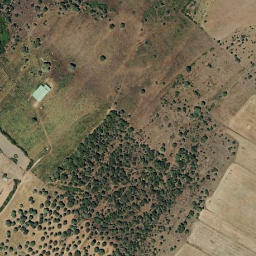 Satellite imagery of survey_point, PT