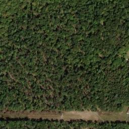 Satellite imagery of Lick Ridge, US